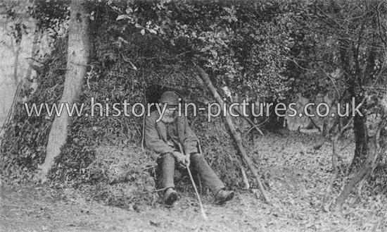 The Epping Forest Hermit and his hut, Essex. c.1904